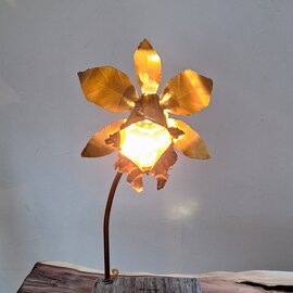 Illustration de luminaire " orchid "