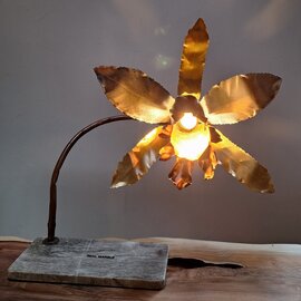 Illustration de luminaire " orchid " 